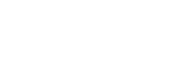 Boltt icon