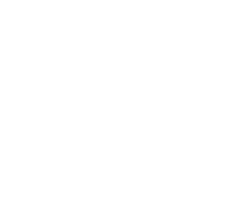 Boltt specials icon