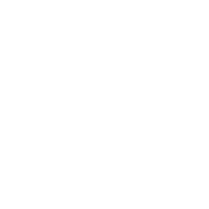 Icon ui